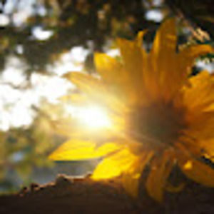 Meet your Posher, Katelyn